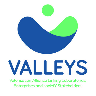 VALLEYS - Forthcoming Open Call 1